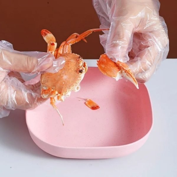 Food Grade Plastic Household Dining Plates | 10 pcs Elliptical Spit Bone Plate Set | Multi-Function & Durable - Image 2